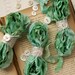 Cabbage Roses Ribbon MACAROON FRANCIAS