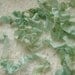 SPRING AQUA Cabbage Roses Ribbon