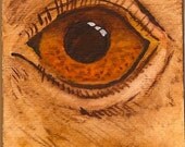 Ostrich Eye - ACEO Original Watercolor