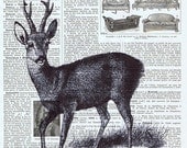 Inspiration.deer.Antique Book Page Prints.gift.mixed Media.Repurposed Paper Ephemera,altered art, inspiration, freebie.dad.mom