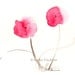 Flower, Flower Art Print, Watercolor: Dancing Poppies