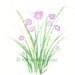 Art Print, Giclee Print of Watercolor: Chives watercolor giclee fine art print