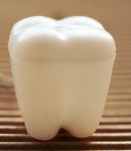 Tooth Locket Necklace