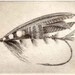 Mackenzie Fly Fishing Salmon fly etching