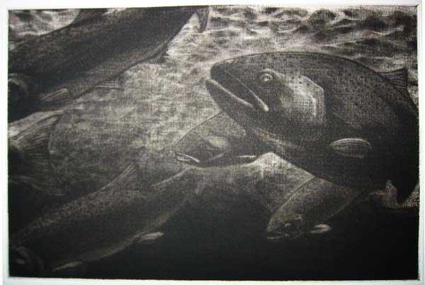 Fly Fishing Mezzotint Print -The Run