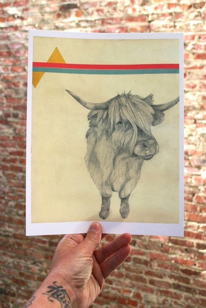 Highland Cow Print