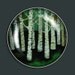Aqua Birch Forest Big Click Magnet