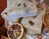 Spicy Orient Express Bar of Soap from Twig Natural Soap