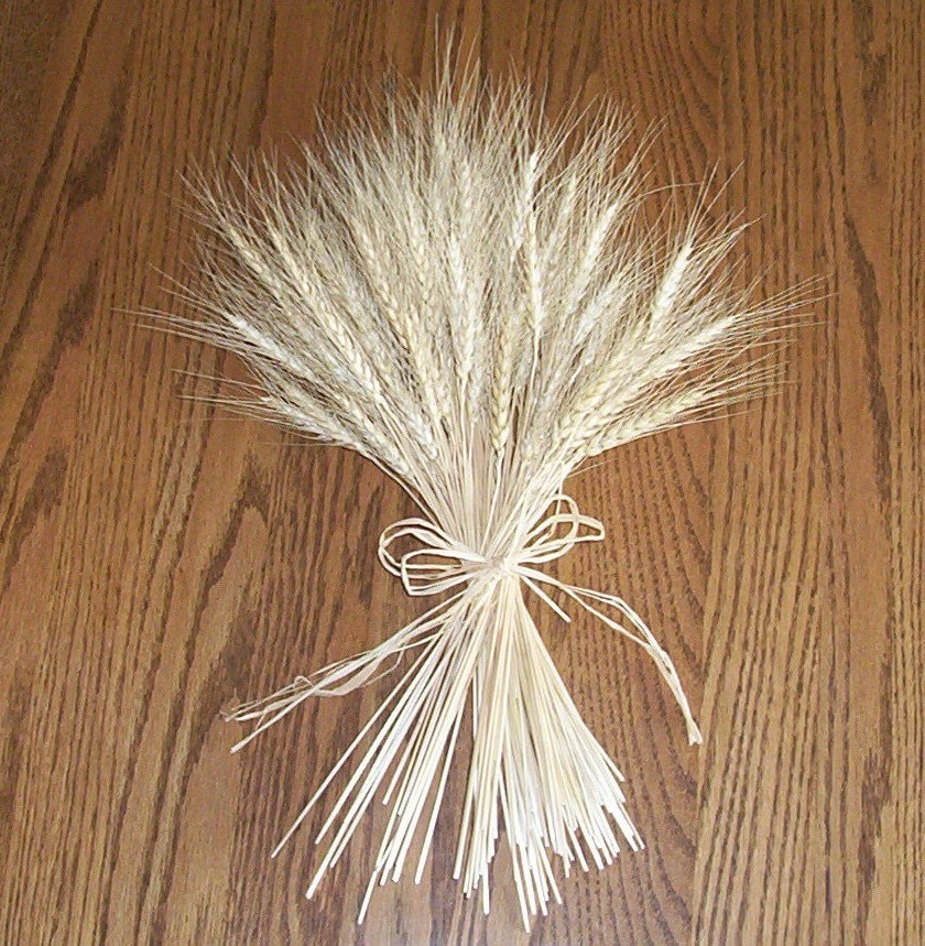 DRIED WHEAT BUNDLES for FLORAL DECORATING and WEAVING