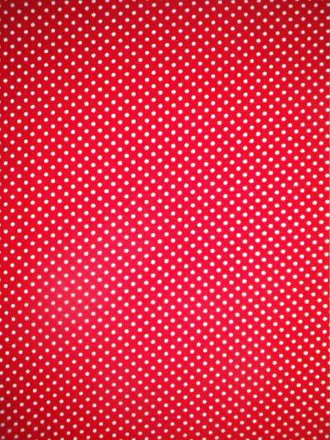 Robert Kaufman Red White Swiss Small Polka Dot dots Fabric 1 Yard-- More yardage available