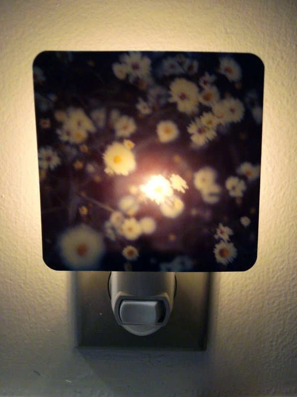 Polaroid Night Light - Botanical in Blue
