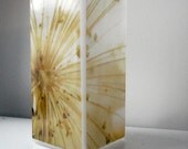 Glass Polaroid Photo Table Lamp - Onion Bloom - Unique Housewarming Gift, Home Decor, Functional Illuminated Art