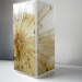 Glass Polaroid Photo Table Lamp - Onion Bloom - Unique Housewarming Gift, Home Decor, Functional Illuminated Art