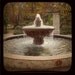 Make a Wish - 8x8 Fine Art Photographic Print