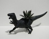 Dinosaur Planter Raptor in Black Geek Home Decor Modern Minimalist Succulent Planter