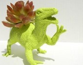 Raptor Dinosaur Planter Gift Ready to Plant Teacher Gift Dorm Decor