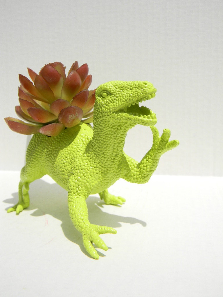 Raptor Dinosaur Planter Gift Ready to Plant Teacher Gift Dorm Decor