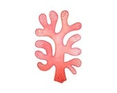 Red coral