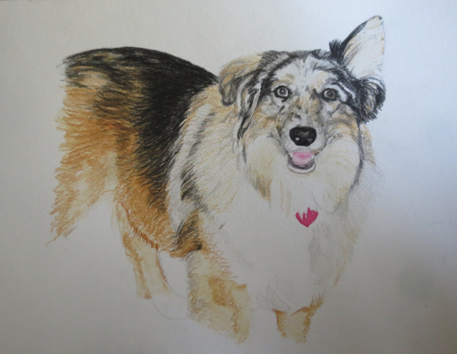 Happy Border Collie Pet Portraits Original Watercolor Memorial U Provide Picture or Idea 18 x 24 inch by Pigatopia