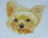 Pet Portrait Original Cute Yorkie Terrior Watercolor 4 x 6 You Provide The Picture Or Idea Made to Order by Pigatopia
