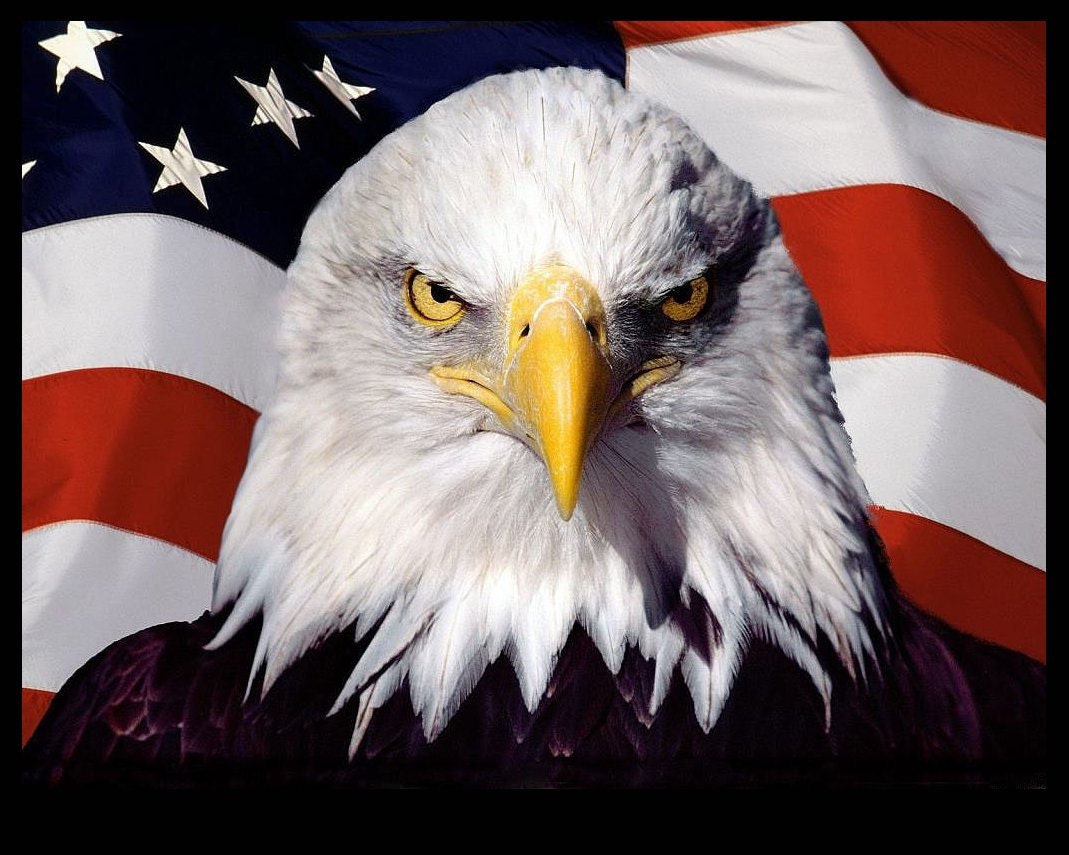 American Patriot Bald Eagle USA Flag Democracy Giclée Printed Art 4 x 3in Twill Cloth Sew on Back Patch-es Frame Able Craft Free S/H MBG