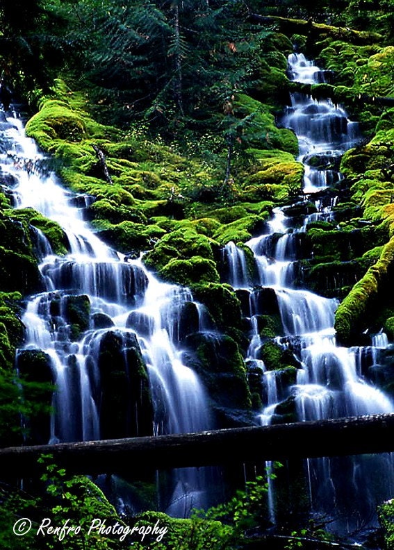 Proxy Falls - Waterfall - Oregon - Nature Photography - Landscape - Wall Art - Home Decor - Blue - Green - 8x10 - Fine Art Print - renfro