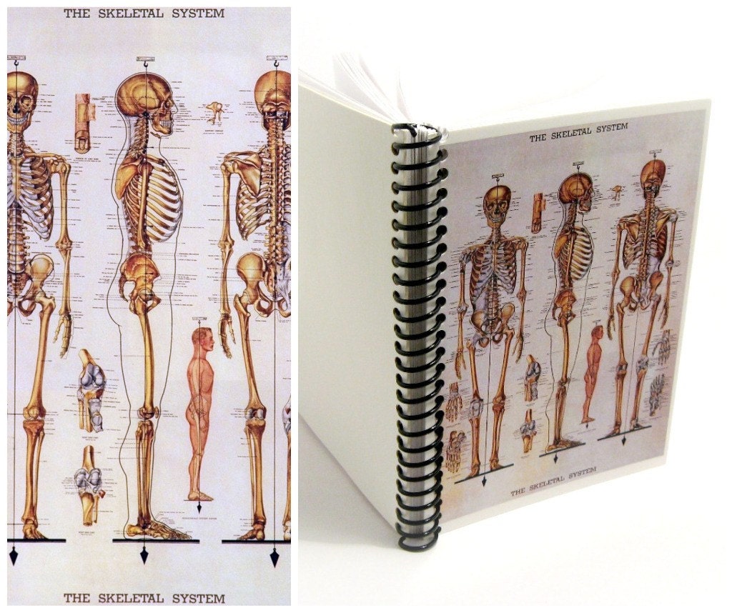 The Skeletal System - Spiral Bound Notebook (4 x 6)