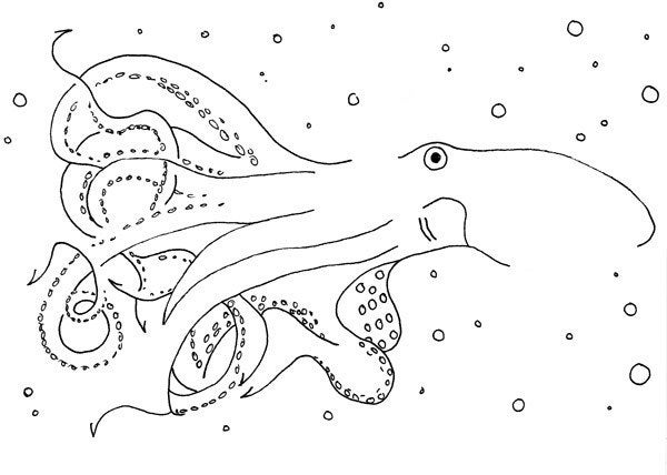 Octopus Line Drawing Digital Print