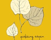 Aspen Leaf Print