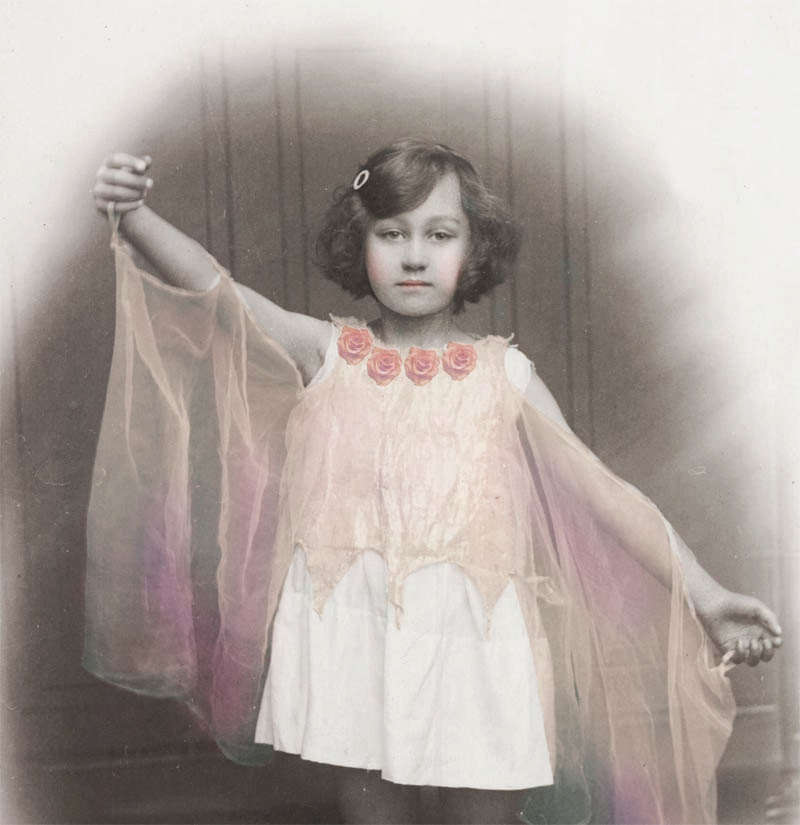 Roses Fairy Princess tinted fine art photograph