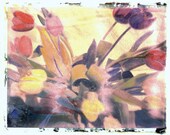 Spring Tulip Bouquet Polaroid TRansfer Photograph Print