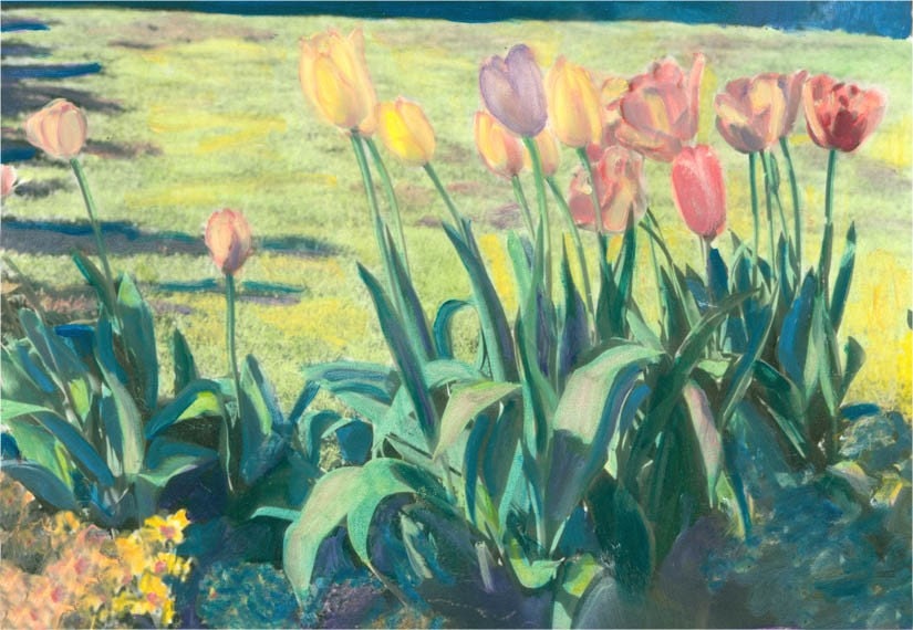 SPring Garden of Tulips Hand Colored Photography