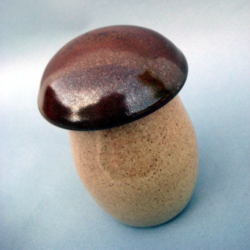 It's a Mushroom Jar - Handmade wheel thrown stoneware pottery