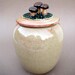 Mushrooms in the Sun Oatmeal Ginger Jar - Handmade stoneware pottery