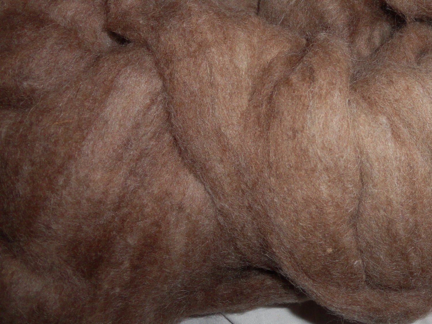 4 oz Light Brown Louet Coopworth Roving NICE