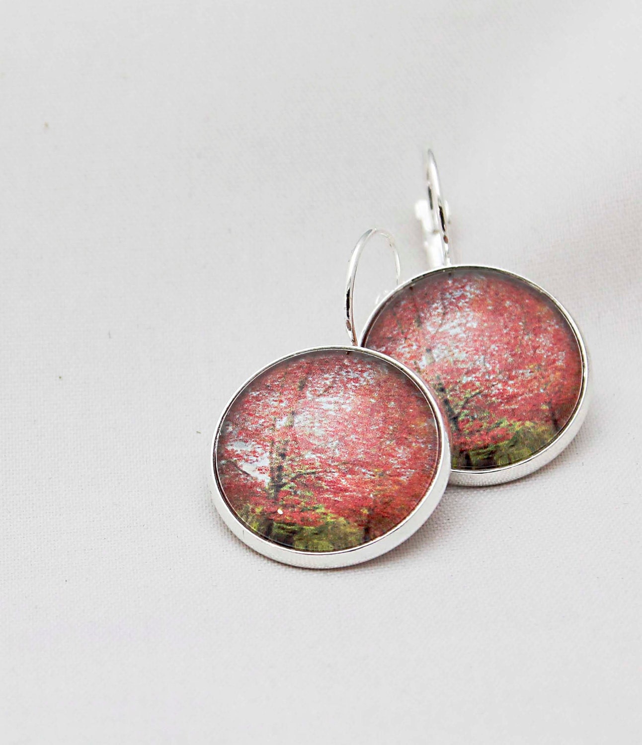 Autumn Trees In Australia Photograph Earrings