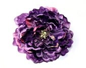 Purple Peony - Jumbo Extra Large Violet Purple Peony - 6 inches