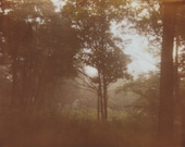 photographic print, fog 2, 6x8"