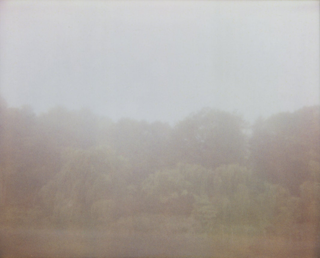 photographic print, fog 4, 6x8"
