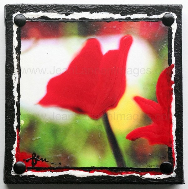 Red Poppy In Sun - Original One Of A Kind Altered Photograph on Canvas, Red Orange and Lime Green, Summer Flowers By Jean Lannen