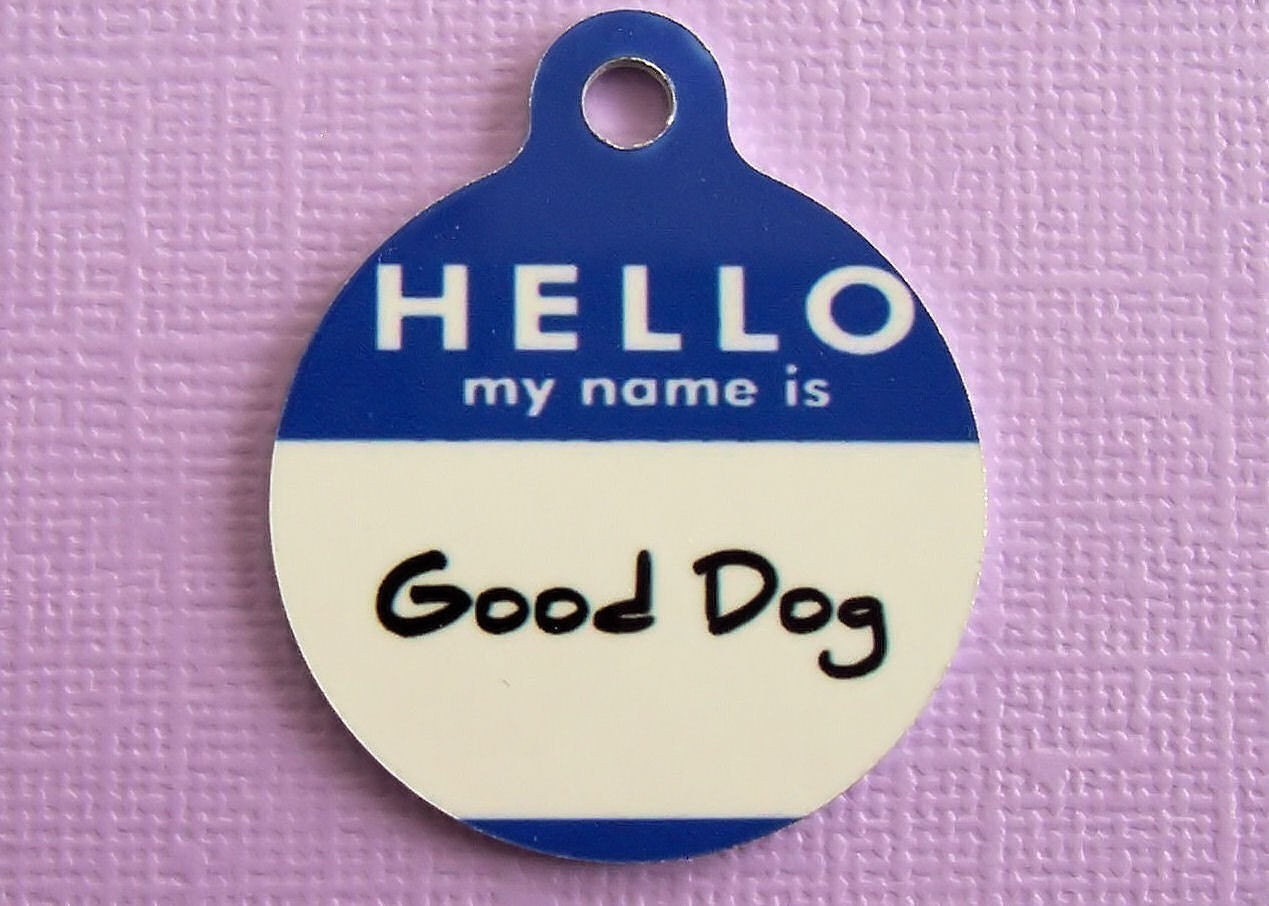 Dog ID Tag -Hello in Blue Customized - Two Sided
