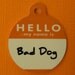 Bad Dog in Orange - Metal Pet ID Tag- Customized
