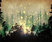 Glowing Forest