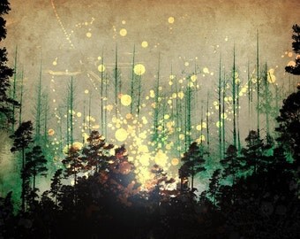 Glowing Forest