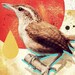 Bird Collage I