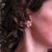 Koala Bear earrings