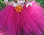 Raspberry TuTu Dress.