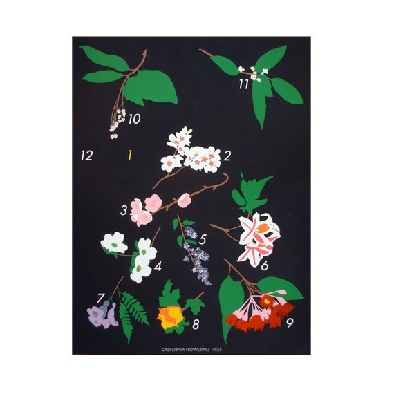 LAST CHANCE FOR California Flowering Trees / Claire Nereim