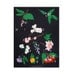 LAST CHANCE FOR California Flowering Trees / Claire Nereim