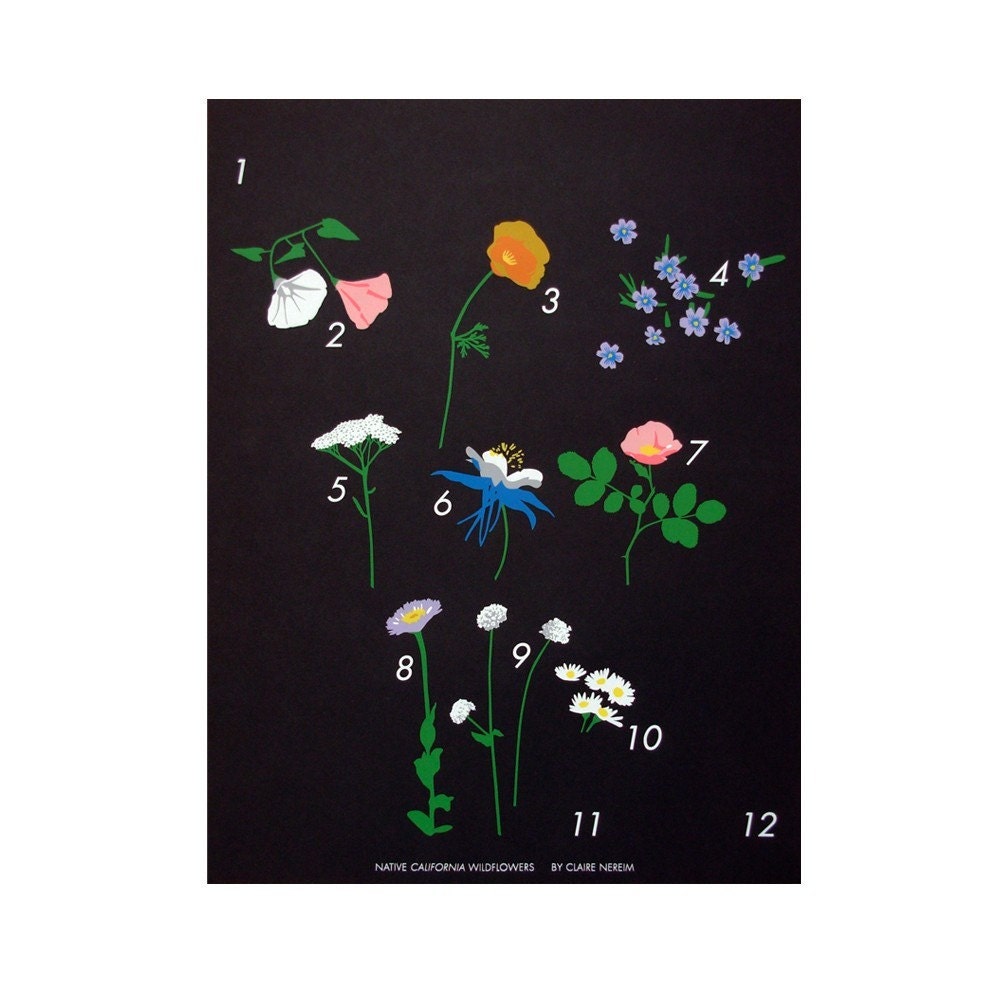 Wildflowers Calendar / Claire Nereim